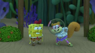 Kamp Koral: Los primeros años de Bob Esponja 1x4