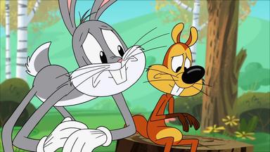 New Looney Tunes 1x9